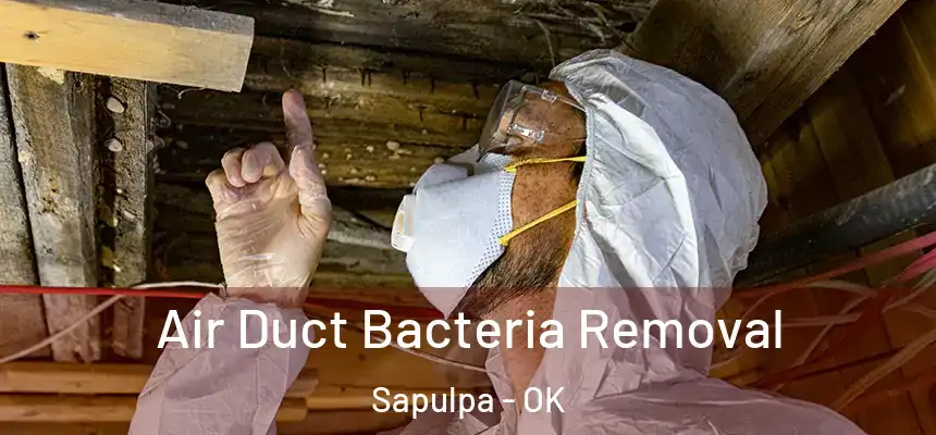 Air Duct Bacteria Removal Sapulpa - OK