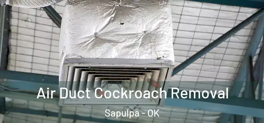 Air Duct Cockroach Removal Sapulpa - OK