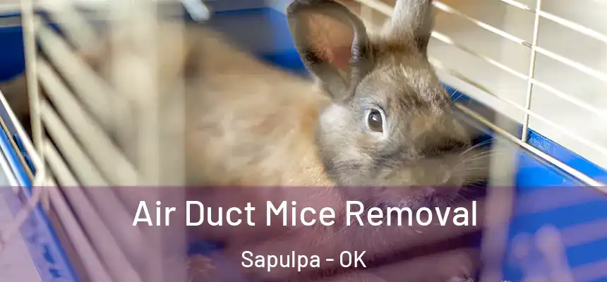  Air Duct Mice Removal Sapulpa - OK