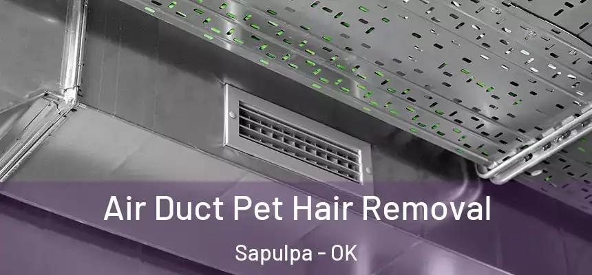  Air Duct Pet Hair Removal Sapulpa - OK