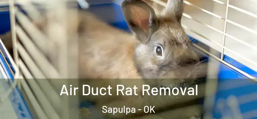  Air Duct Rat Removal Sapulpa - OK
