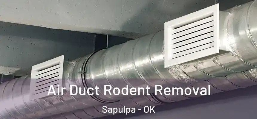 Air Duct Rodent Removal Sapulpa - OK
