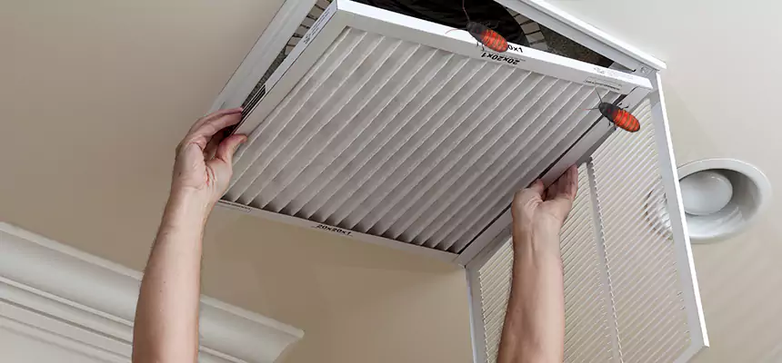 Preventive Cockroach-Proofing for Ducts in Sapulpa