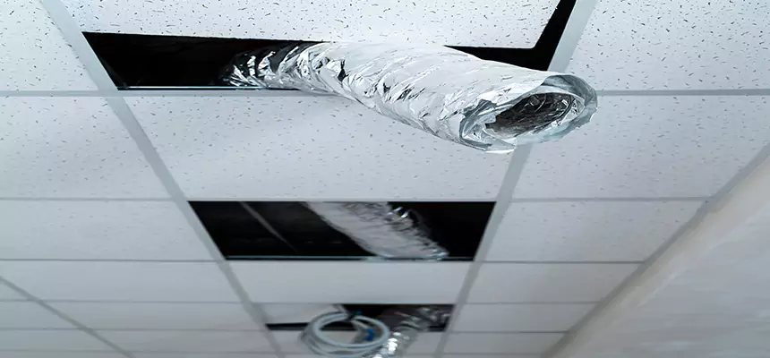 Our Air Duct Pet Hair Removal Services in Sapulpa, OK