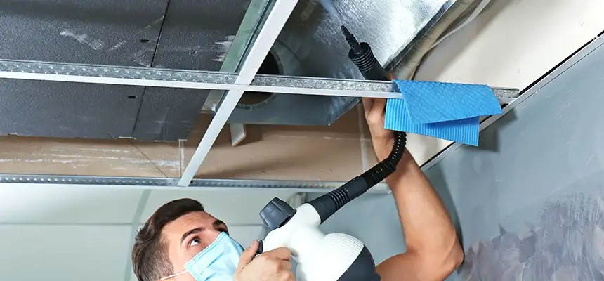 Our Air Duct Rodent Removal Services in Sapulpa, OK