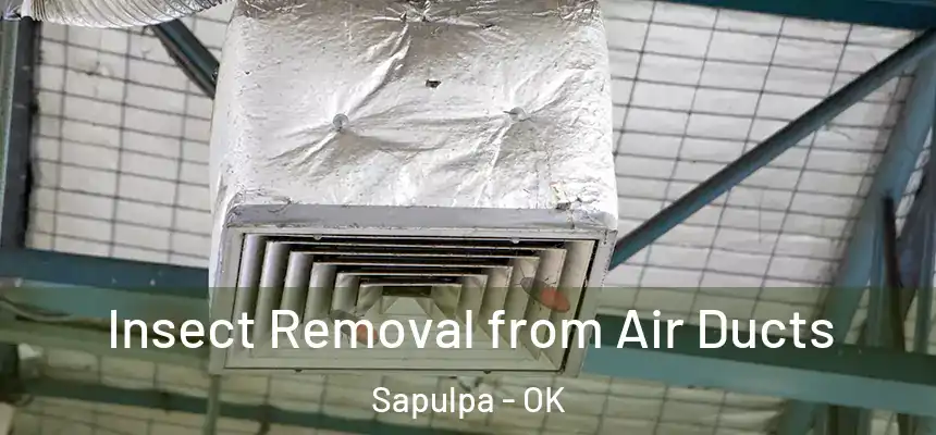  Insect Removal from Air Ducts Sapulpa - OK
