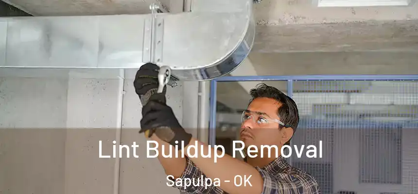  Lint Buildup Removal Sapulpa - OK