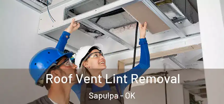  Roof Vent Lint Removal Sapulpa - OK