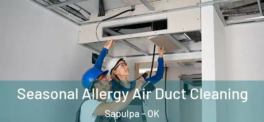  Seasonal Allergy Air Duct Cleaning Sapulpa - OK